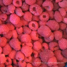 Frozen Fruits IQF Raspberry Whole